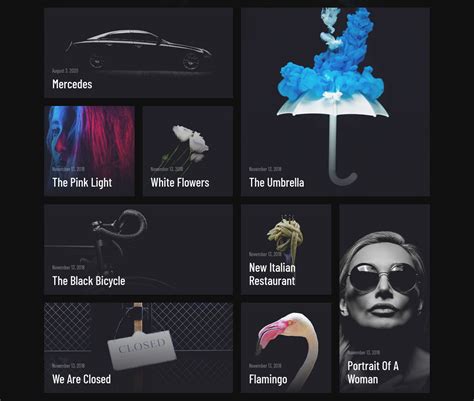 Image result for Essential Grid Tutorials