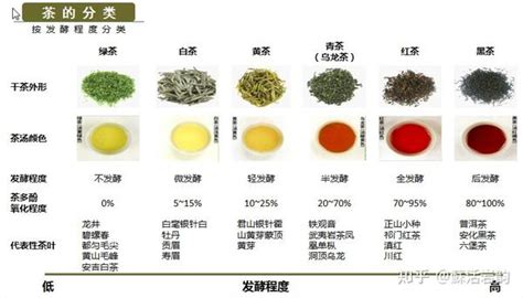 茉莉花茶的主要成分有哪些 – 福鼎白茶