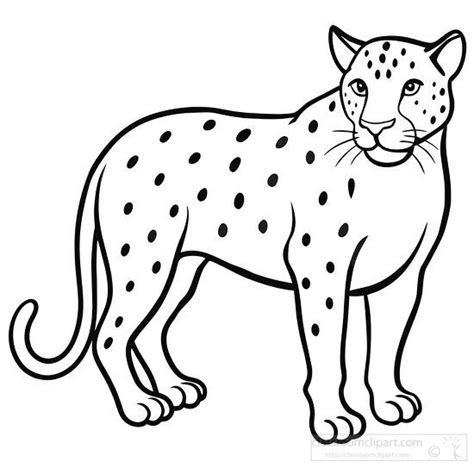 Image result for Prime in Java