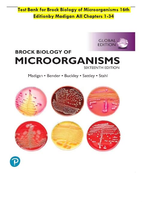 Brock Biology of Microorganisms 16th Edition Test Bank by Madigan (All Chapters Complete Fully ...