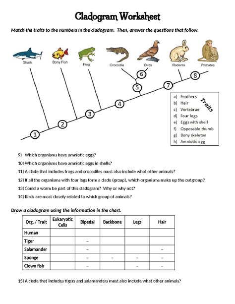 Image result for Cladogram Practice Worksheet