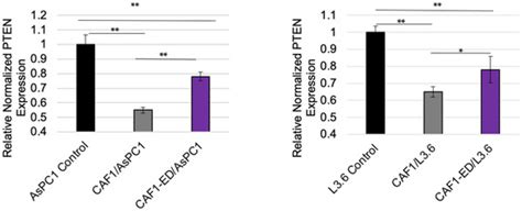 Cancers | June-1 2022 - Browse Articles