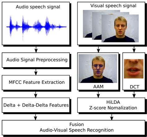 Image result for Audio and Visual Perception in Sign Language