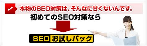 新型SEO対策｜ピーバイエス株式会社