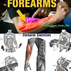 Ejercicios para on sale antebrazo con mancuernas