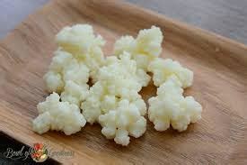 Feelgood Kefir™ - LIVE HAND-PICKED PREMIUM/LARGE Sized Russian Origin ...