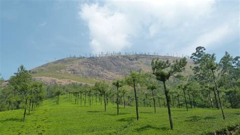 Munnar Images - Vacation Pictures of Munnar, Idukki District - Tripadvisor