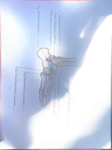 Documentos Escaneados 的图像结果