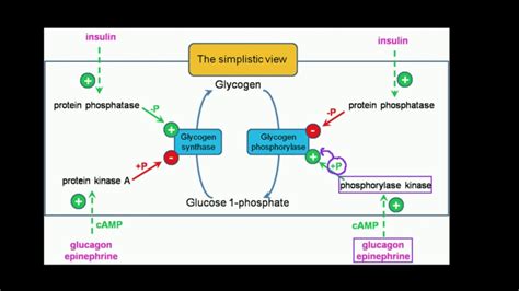 Image result for Machine Learning Graph Fitting