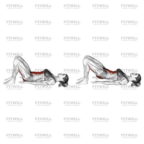 Pelvic Tilt: Exercise Guide, Video, Techniques, Benefits, How to, Muscles Worked, Tips & Tricks ...