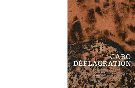 Déflagration : Amazon.in: Books