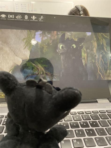 Image result for Toothless Httyd Halter