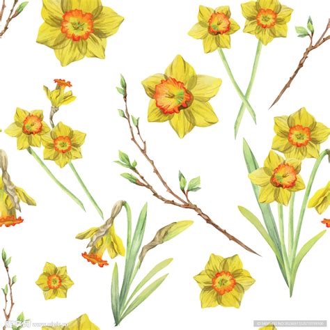 水仙花图案设计图__广告设计_广告设计_设计图库_昵图网