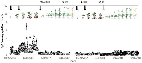 Optimising Nitrogen Fertilisation in a Potato–Oat Rotation and ...