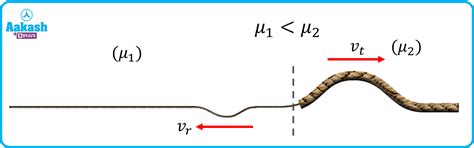 Reflection of Waves: Properties, Types & Importance | AESL