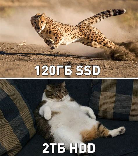 Image result for Typical Programmer