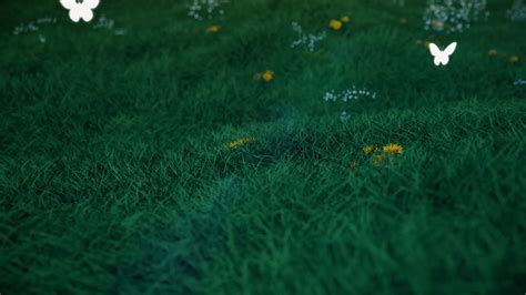 Image result for Spring Video Editor Logo