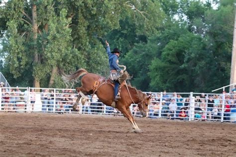 Dallas County Fair - June Rodeo with Royce Johns music to follow ...