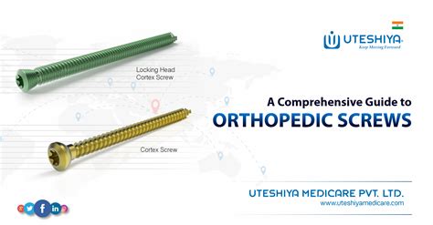 Orthopedic Screws Benefits Of Veterinary Orthopedic Locking Screws