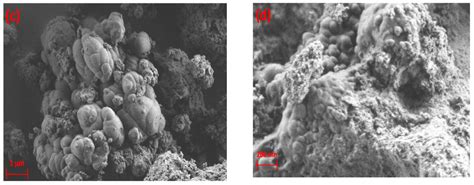High-Resolution SEM and EDX Characterization of Deposits Formed by CH4 ...