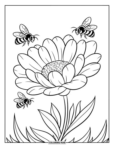 70+ Honey Bee Coloring Pages for Kids & Adults (Free Printable PDFs)