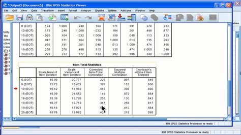 SPSS Reliability Tutorial 的图像结果
