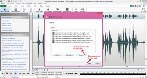 Image result for Wavepad Audio Editing Software
