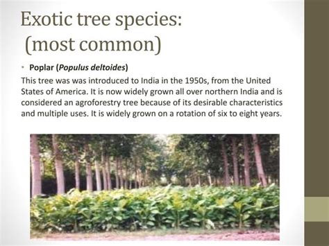 Agroforestry Systems 的图像结果