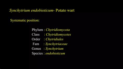 Chytridiomycota characters, taxonomy, life cycle of synchrium and major diseases | PPTX