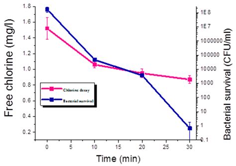 Image result for Enterococcus Chlorination