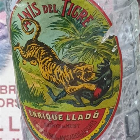 LOS MUSEOS DEL AGUARDIENTE ANISADO DE RUTE Y ESPANA - All You Need to ...