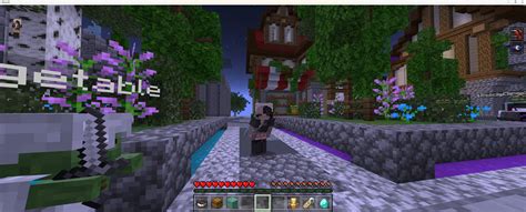 Image result for Mineplex Java