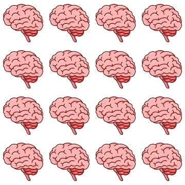 Brain Pattern Vector 的图像结果