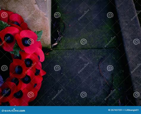 War Red Poppy Memorial Wreath Medium Shot Stock Image - Image of ...