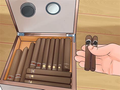 Image result for Humidor How to Use
