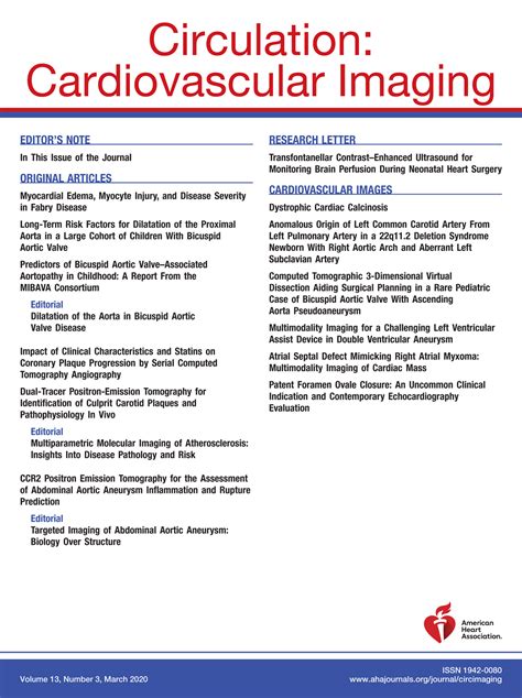 PFO Defect 的图像结果