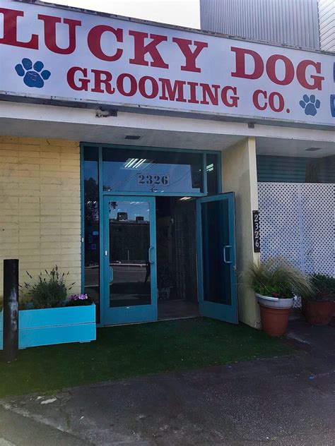 Book Now – Lucky Dog Grooming