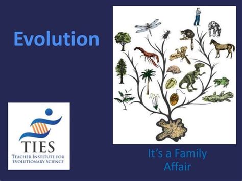Image result for Freesciencelessons Evolution