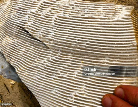 Image result for Geological Structures