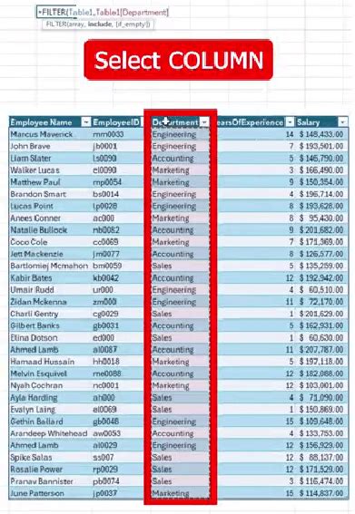 Filter Command in Excel 的图像结果