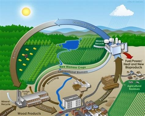 Bioenergy Picture Example 的图像结果