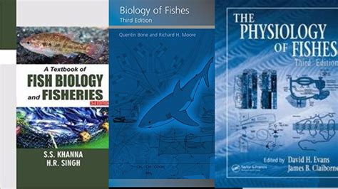 Evolution Book 的图像结果