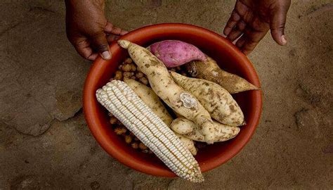 10 Best Things To Do In Africa For All The Hardcore Travelers