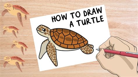 Image result for Beginner Turtle Art Tutorial