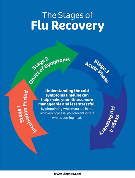 Navigating the Stages of the Flu| Kleenex® US