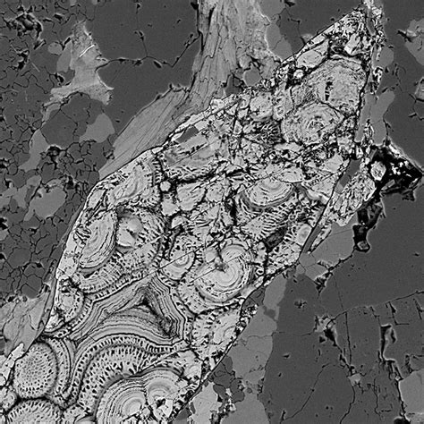 2022 ZEISS Microscopy Image Contest