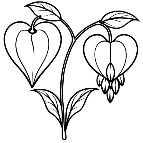 Bleeding Heart flower outline illustration coloring book page design ...