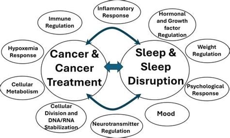 Sleep and Cancer