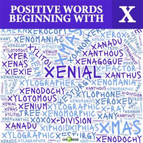 88 Positive Words That Start With X (to Describe Someone)