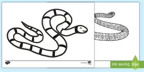 Sea Coral Snake Colouring Sheets | Colouring Pages - Twinkl